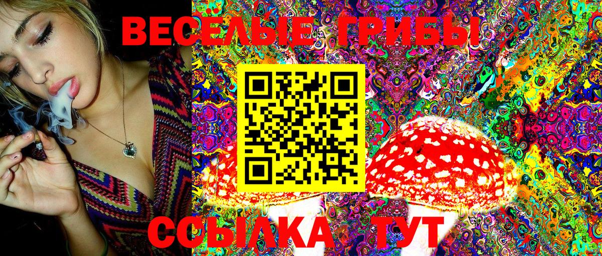 Псилоцибиновые грибы Psilocybe  Вход с VPN  Одинцово  Псилоцибиновые грибы MAGIC MUSHROOMS 